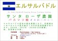 画像2: エルサルバドル　サンタ・ローザ農園　パカマラ種　ハニー　１００ｇ (2)