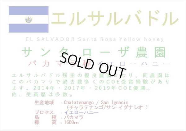 画像2: エルサルバドル　サンタ・ローザ農園　パカマラ種　ハニー　１００ｇ