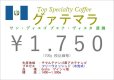 画像1: グァテマラ　サン・ディエゴ　ブエナ・ビスタ農園　ゲイシャ種　ウォッシュト　　１００ｇ (1)