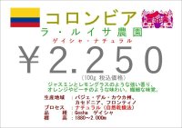 コロンビア　ラ・ルイサ農園　ゲイシャ種　ナチュラル　　１００ｇ