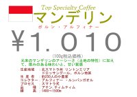 インドネシア　マンデリン 　リントン 　ホルン アルフィナー　１００ｇ