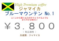 ジャマイカ　ブルーマウンテン　　１００ｇ